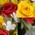 Grave Pot Artificial Silk Flowers Red and Yellow Open Roses Memorial Crem