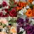 Grave Pot Artificial 16 Head Open Roses & Weather-Resistant Plastic Gyp/Greenery