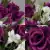 Grave Pot Artificial 16 Head Open Roses & Weather-Resistant Plastic Gyp/Greenery