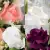 Artificial Grave Pot Flowers Purple Open Roses White Rosebud and Pink Roses