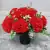 Red Carnations Arrangement | Artificial Flower Pot | Grave/Memorial/Crem