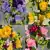 Grave Pot Artificial Silk Various Roses Rosebud & Mini-Roses Arrangement