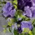 Grave Pot Artificial Silk Various Roses Rosebud & Mini-Roses Arrangement
