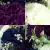 Matching Pair of Grave Pots with Artificial Grave Flowers (Various Designs)
