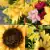 Matching Pair of Grave Pots with Artificial Grave Flowers (Various Designs)