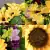 Matching Pair of Grave Pots with Artificial Grave Flowers (Various Designs)