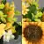 Matching Pair of Grave Pots with Artificial Grave Flowers (Various Designs)