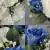 Matching Pair of Grave Pots with Artificial Grave Flowers (Various Designs)