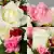 Artificial Grave Pot Flowers Pink & Cream Roses/Rosebud/Mini-Roses Memorial Crem